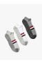 Фото #5 товара 3'lü Patik Çorap Seti Çok Renkli Şerit Detaylı