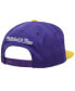 Фото #3 товара Men's Purple, Gold Los Angeles Lakers Hardwood Classics 1987/88 Back-to-Back NBA Champions Snapback Hat