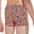 SPEEDO Electric Spritz Allover Swim Boxer