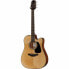 Takamine GD30CE-N