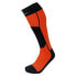 Фото #1 товара LORPEN Ski Polartec socks