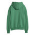 Фото #3 товара Puma Winter Rink Pullover Hoodie Womens Green Casual Outerwear 62085886