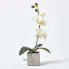 Фото #5 товара Künstliche Orchideen im 2er-Set 40 cm