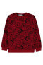 Erkek Çocuk Sweatshirt 2-5 Yaş Bordo