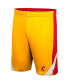 Фото #5 товара Men's Cardinal and Gold USC Trojans Am I Wrong Reversible Shorts