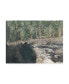 Фото #1 товара Natasha Chabot Virginia Forest II Canvas Art - 36.5" x 48"