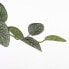 Фото #6 товара Künstliche Hängepflanze Pilea
