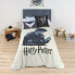 Фото #1 товара Пододеяльник Harry Potter 180 x 220 cm 105 кровать