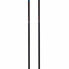 SWIX Quantum Q2 Poles