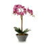 Декоративное растение Орхидея 16 x 48 x 28 cm Пластик (4 штук)