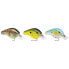 Фото #2 товара SPRO Fat Papa Crankbait 55 mm