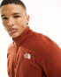 The North Face Glacier 100 1/4 zip fleece in brown