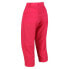 Фото #4 товара REGATTA Chaska II 3/4 Pants