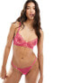 Bluebella Valentines Astra delicate floral lace tanga thong in hot pink - PINK