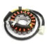 Фото #1 товара TECNIUM SH Scoopy 2001-2004 stator