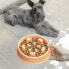 Фото #18 товара Кормушка для животных с медленной подачей Slowfi InnovaGoods
