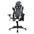 Gaming Stuhl HUKY1030_BLAUWZWART