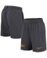 ფოტო #1 პროდუქტის Men's Anthracite LSU Tigers 2024 Sideline Performance Shorts