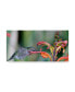 American School Humming Bird Closeup Canvas Art - 20" x 25"