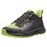 Кроссовки для бега Helly Hansen Trail Wizard Black / Sharp Green, 42.5 - фото #1