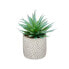 Фото #3 товара Искусственное растение Деревянно-пластиковое Ibergarden Succulent 17 x 21 x 17 см (8 штук)