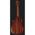 Harley Benton EAX-500TL Mahogany