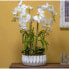 Centerpiece Alexandra House Living White 32 x 13 cm