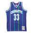 Фото #1 товара Mens Mitchell & Ness NBA SWINGMAN ALTERNATE JERSEY - HORNETS 94 ALONZO MOURNING