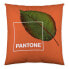 Фото #1 товара Чехол для подушки Nature Pantone Двухсторонний 50 x 50 cm