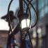 KNOG Cobber Mid light set