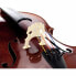 Gewa Maestro 6 Lefthanded Cello 4/4