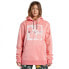 Фото #1 товара DC SHOES Aw Snowstar hoodie