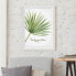 Bild Aquarell Botanik Trachycarpus II