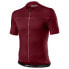 Фото #3 товара CASTELLI Classifica short sleeve jersey