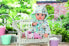 Фото #3 товара Zapf Baby Annabell Deluxe Rain Set - Doll clothes set - 3 yr(s) - 420 g