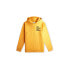 Фото #1 товара O'Neill Future Surf Society Hoodie Jr 92800614979