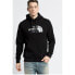 The North Face Drew Peak Pullover Hoodie