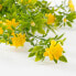 Фото #6 товара Искусственные цветы MICA Decorations Гирлянда маргариток