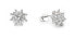 Fitting silver earrings Snowflake AGUP2749
