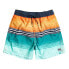 Фото #2 товара BILLABONG All Day Heather Stripe Lb Swimming Shorts