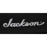 Jackson Softcase SL/DK Guitar