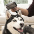 Фото #17 товара Щетка для чистки домашних животных с выдвижными щетинками Groombot InnovaGoods
