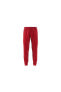 Фото #23 товара Брюки Adidas Мужские Джоггеры Красные с Принтом IJ5691