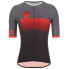 Фото #1 товара SANTINI Ironman Audax short sleeve jersey