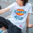 Dickies LogoT DK007386C4D T-Shirt