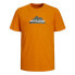 JACK & JONES Mountain Logo short sleeve T-shirt