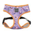 FUZZYARD Aloha Dolphins Harness