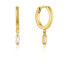 ფოტო #1 პროდუქტის ANIA HAIE E018 Earrings