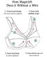 ფოტო #7 პროდუქტის Women's Full Figure Plus Size MagicLift Active Wirefree Support Bra 1005