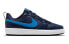 Nike Court Borough Low 2 GS BQ5448-403 Sneakers